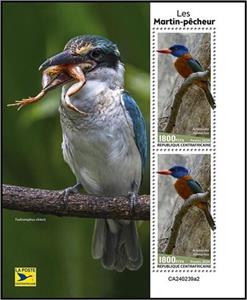Full Pane, Kingfishers (Actenoides monachus), Central African Republic,  , Animals (Fauna), Birds, Kingfishers