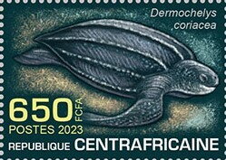 Leatherback sea turtle (Dermochelys coriacea)