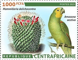 Mammillaria dolichocentra, Amazona aestiva
