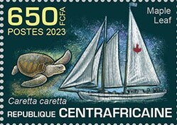 Maple Leaf, Loggerhead sea turtle (Caretta caretta)