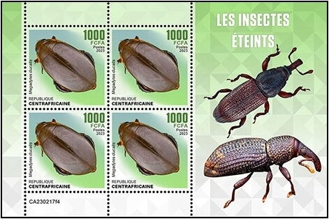 Megadytes ducalis