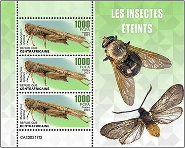 Mini Sheet, Melanoplus spretus, Central African Republic,  , Insects