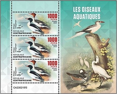 Mergu merganser