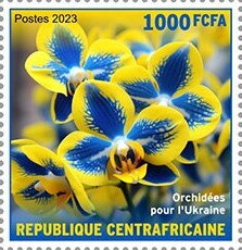 Orchids