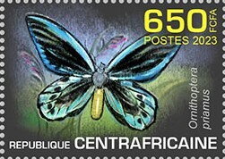 Ornithoptera priamus