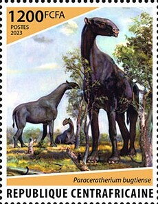 Paraceratherium bugtiense