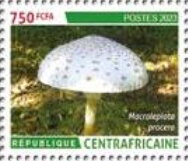 Stamp, Parasol mushroom (Macrolepiota procera), Central African Republic,  , Mushrooms
