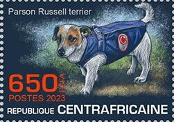 Parson Russell terrier