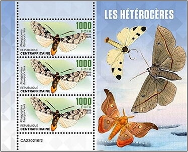 Phaegoptera flavopunctata