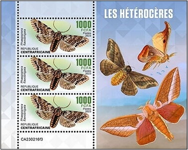 Mini Sheet, Phaegoptera flavostrigata, Central African Republic,  , Butterflies and Moths, Insects