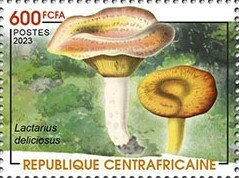 Saffron Milkcap (Lactarius deliciosus)