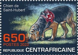 Saint-Hubert dog