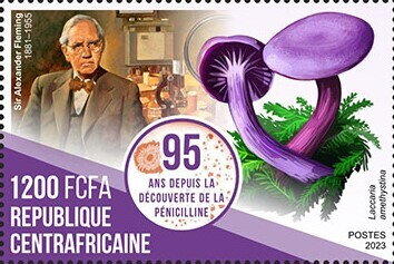 Sir Alexander Fleming - Laccaria amethystina