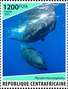 Stamp, Sperm Whale (Physeter macrocephalus), Central African Republic,  , Animals (Fauna), Sea (Marine) Mammals, Sea Life, Whales