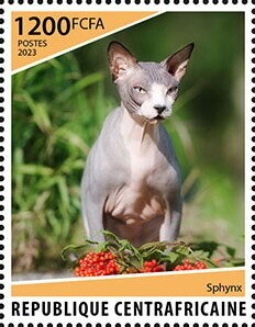Sphynx