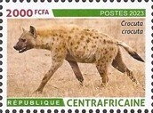 Spotted hyena (Crocuta crocuta)