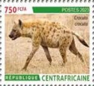 Spotted hyena (Crocuta crocuta)