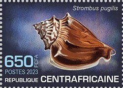 Strombus pugilis