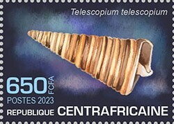 Telescopium telescopium