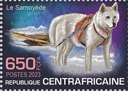 The Samoyed