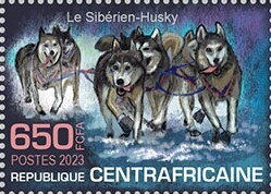 The Siberian-Husky