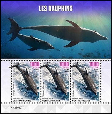 Tursiops aduncus