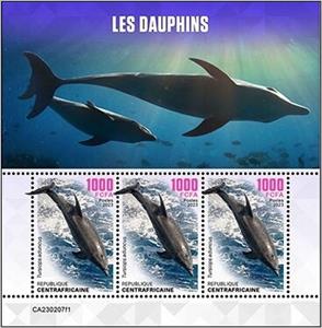 Mini Sheet, Tursiops aduncus, Central African Republic,  , Dolphins, Sea Life