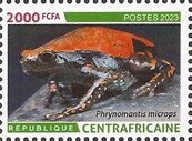 West African Rubber Frog (Phrynomantis microps)