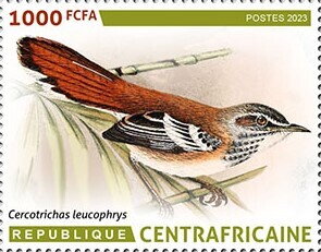 Stamp, White-browed scrub robin (Cercotrichas leucophrys), Central African Republic,  , Animals (Fauna), Birds