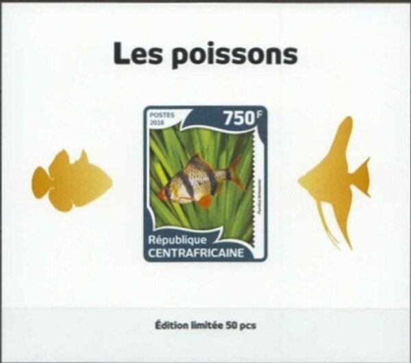 Fish Gold Impressions