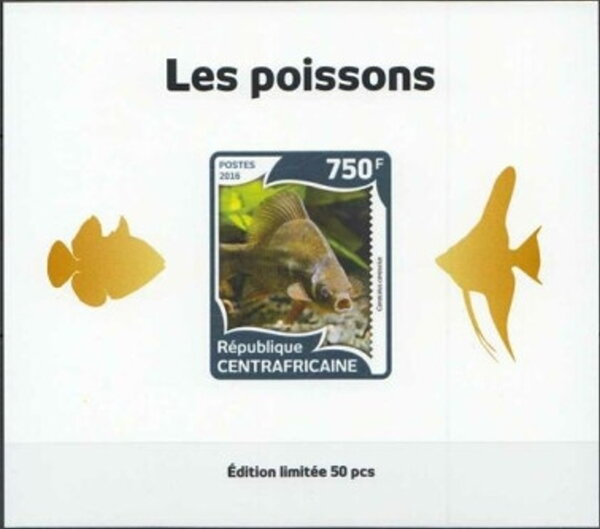 Fish Gold Impressions