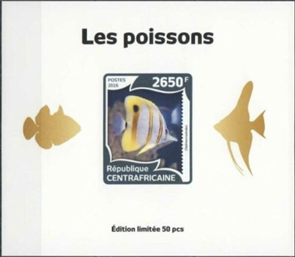 Fish Gold Impressions