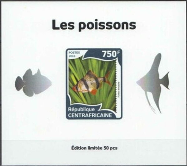 Fish Silver Impressions
