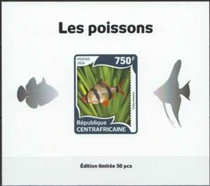 Souvenir Sheet, Fish Silver Impressions, Central African Republic,  , Animals (Fauna), Fishes, Sea Life