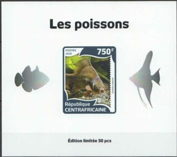 Fish Silver Impressions