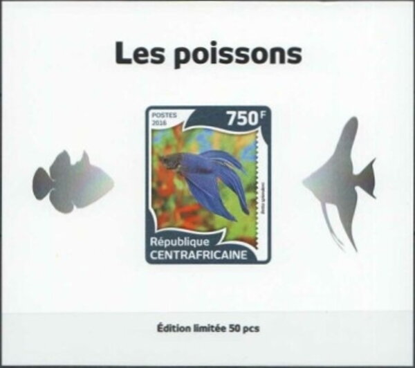 Fish Silver Impressions