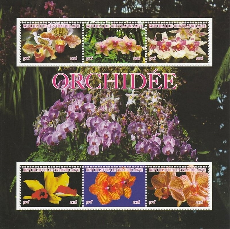 Orchids