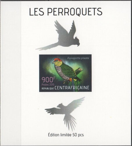 Parrots Silver Impressions