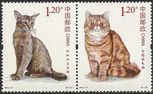 Se-tenant, Abyssinian-Exotic Shorthair, China, People's Republic,  , Animals (Fauna), Cats, Mammals