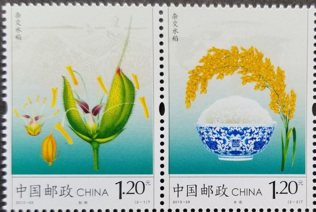 Hybrid Rice