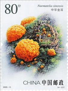 Stamp, Naematelia sinensis, China, People's Republic,  , Mushrooms