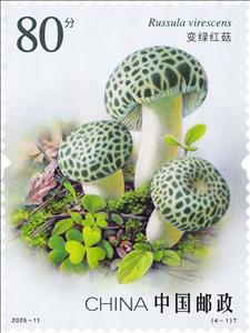 Stamp, Russula virescens, China, People's Republic,  , Mushrooms