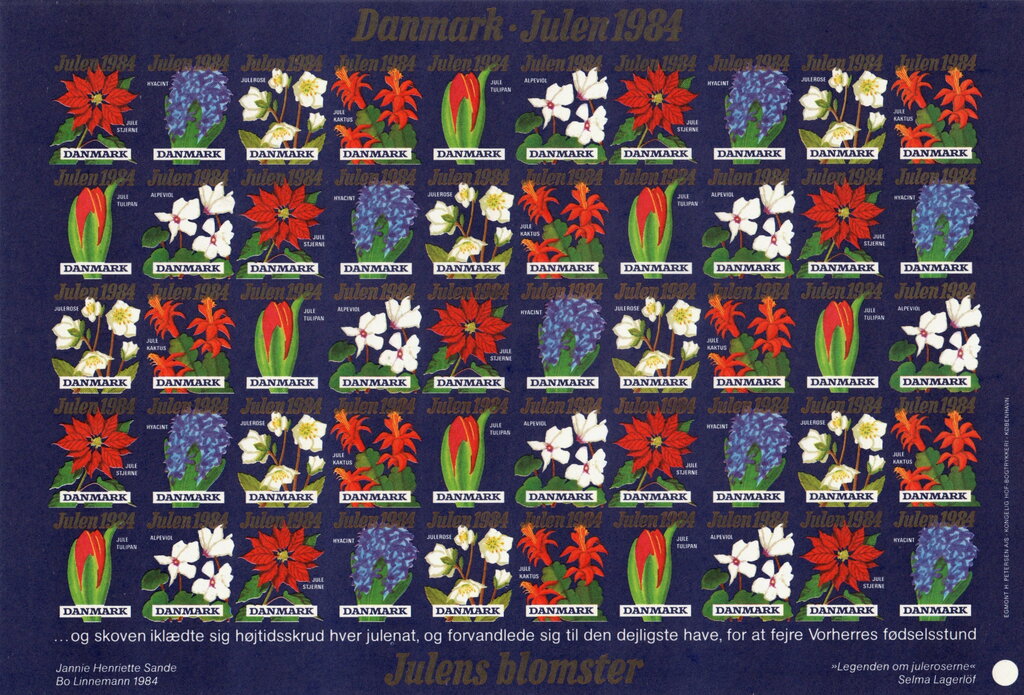 Christmas Flowers