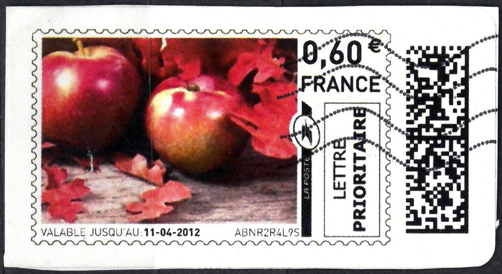 Autumn Leaves and Apples
