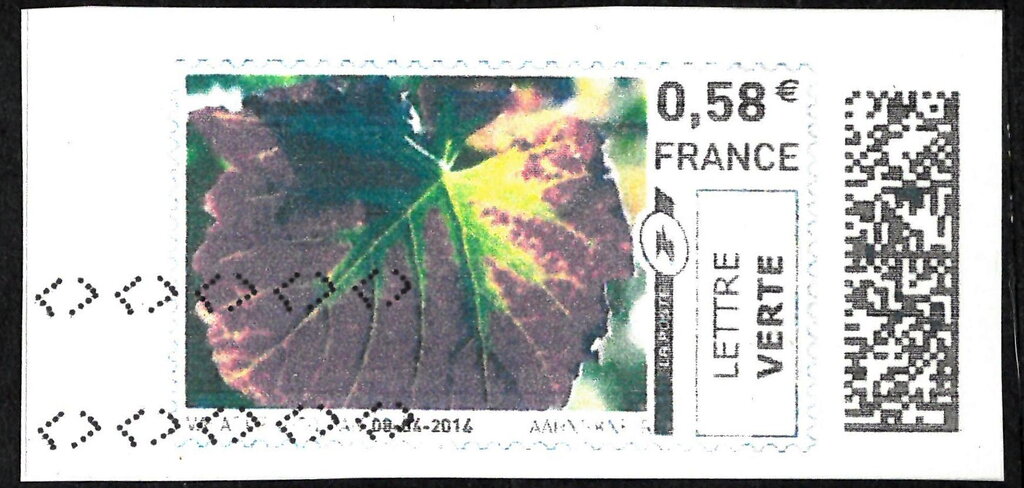 Coloured Leaf