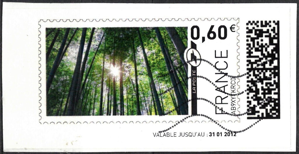 Green Forest