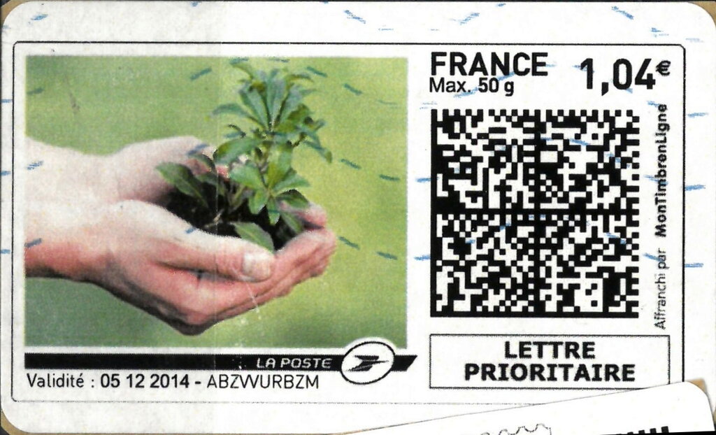 Hands Holding Plant