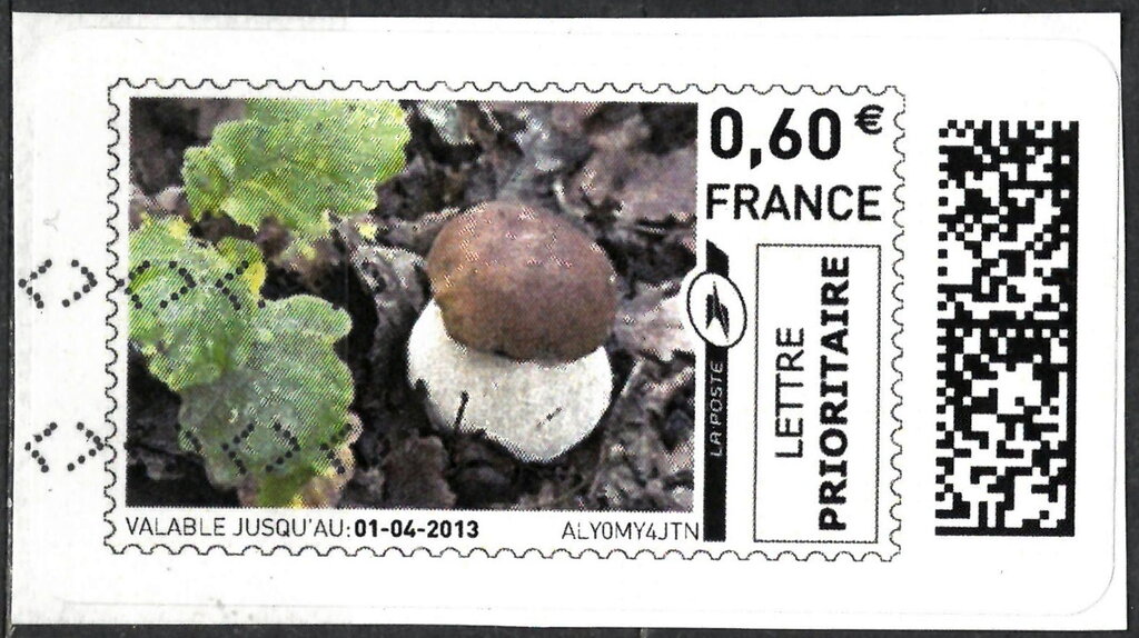 Mushroom