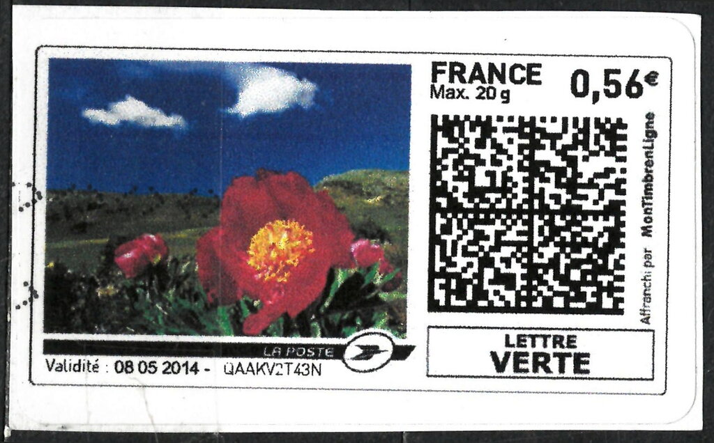 Peonie