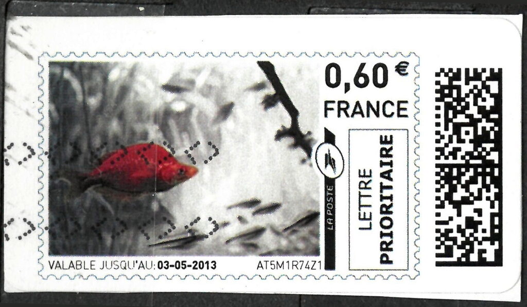 Red Fish